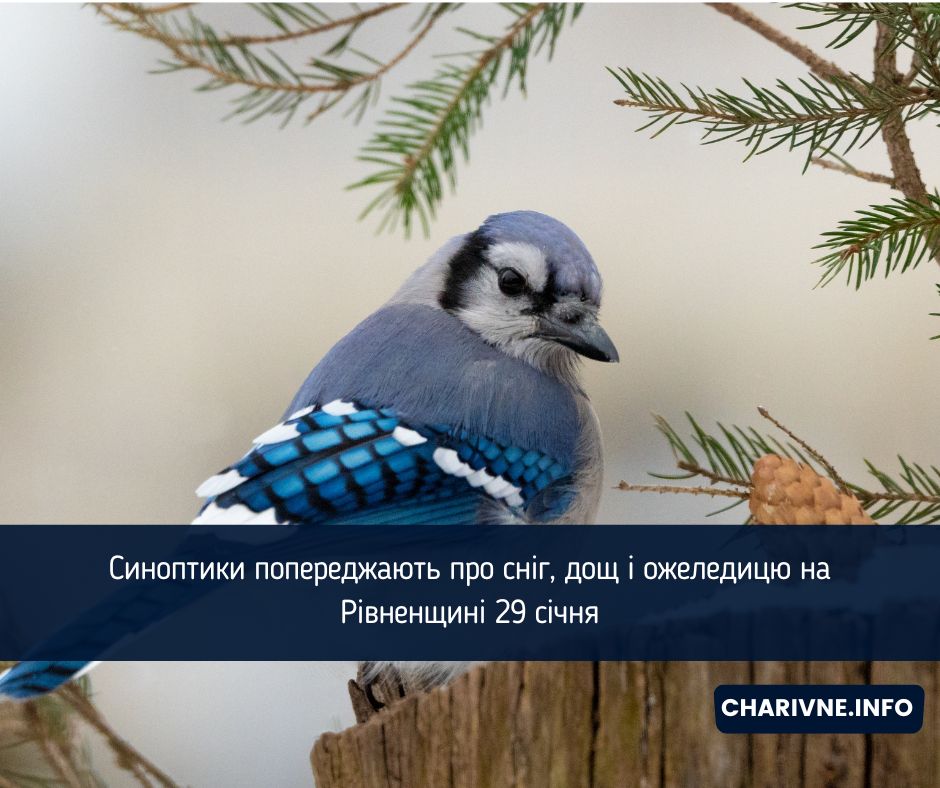 Фото ілюстративне
